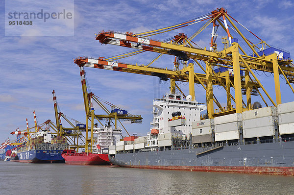 Containerschiffe und Portalkräne  Stromkaje  Wilhelm Kaisen-Terminal  Container-Terminal Bremerhaven  Bremerhaven  Bremen  Deutschland  Europa