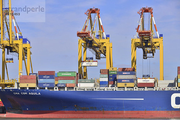 Containerschiff und Portalkräne  Stromkaje  Wilhelm Kaisen-Terminal  Container-Terminal Bremerhaven  Bremerhaven  Bremen  Deutschland  Europa