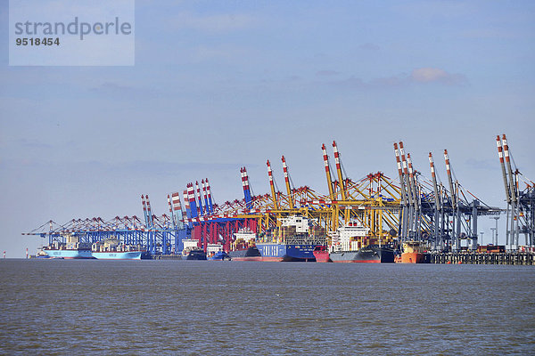 Containerschiff und Portalkräne  Stromkaje  Wilhelm Kaisen-Terminal  Container-Terminal Bremerhaven  Bremerhaven  Bremen  Deutschland  Europa