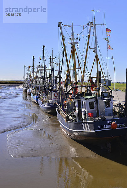 Kutterhafen  Nordseebad Wremen  Landkreis Cuxhaven  Niedersachsen  Deutschland  Europa