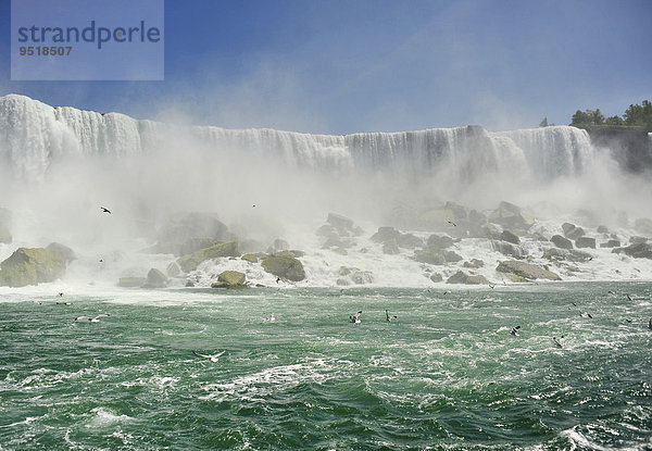 American Falls  Niagarafälle  Niagara Falls  State New York  USA  Nordamerika