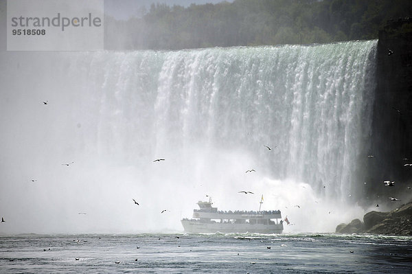 Horseshoe Falls  Niagarafälle  Niagara Falls  Ontario  Kanada  Nordamerika