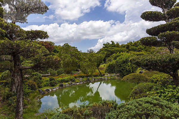 See im japanischen Garten  Jardin Botanico National Dr. Rafael María Moscoso  Staatlicher Botanischer Garten  Santo Domingo  Insel Hispaniola  Große Antillen