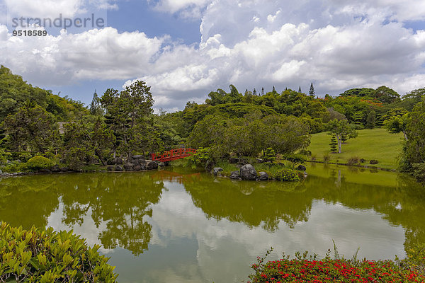 See im japanischen Garten  Jardin Botanico National Dr. Rafael María Moscoso  Staatlicher Botanischer Garten  Santo Domingo  Insel Hispaniola  Große Antillen