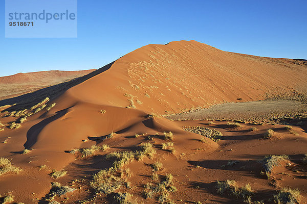 Sanddünen  Sossusvlei  Namib-Wüste  Namibia  Afrika