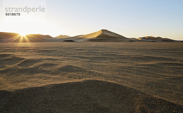 Sanddünen  Namib-Wüste  bei Swakopmund  Namibia  Afrika