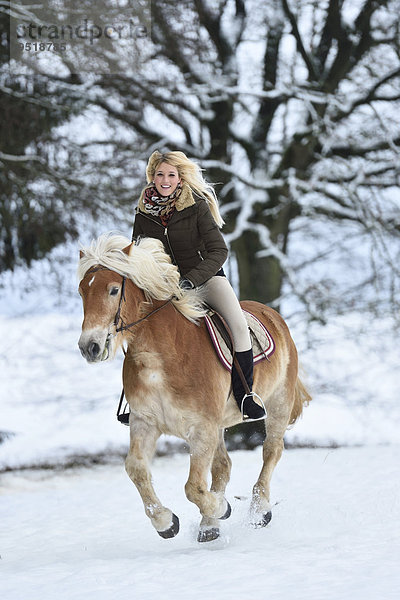 Junge Frau reitet auf einem Haflinger im Schnee