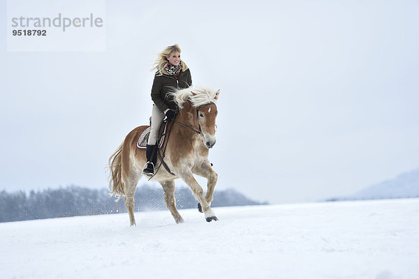 Junge Frau reitet auf einem Haflinger im Schnee