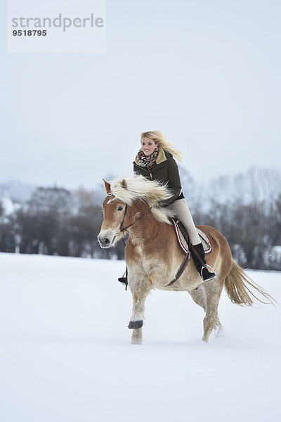 Junge Frau reitet auf einem Haflinger im Schnee