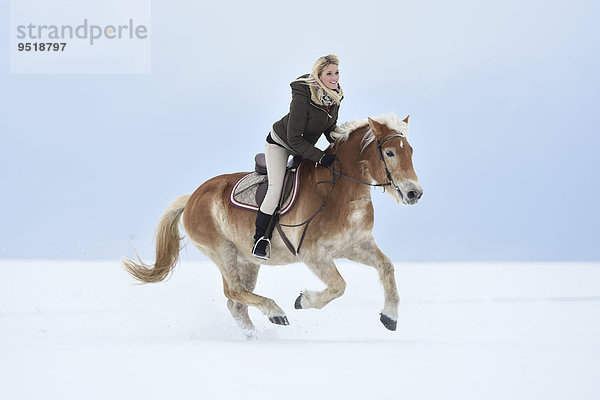 Junge Frau reitet auf einem Haflinger im Schnee