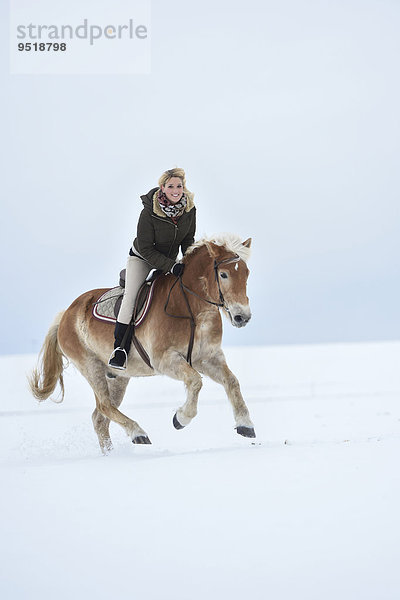 Junge Frau reitet auf einem Haflinger im Schnee