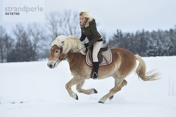 Junge Frau reitet auf einem Haflinger im Schnee