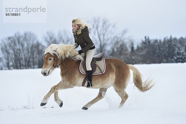 Junge Frau reitet auf einem Haflinger im Schnee