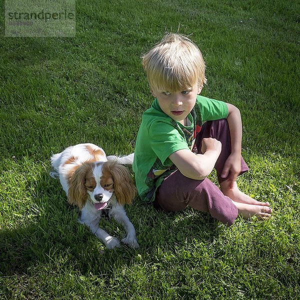 sitzend Junge - Person Rasen Hund