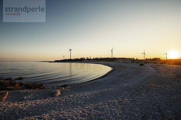Beach at sunset  wind turbines on background