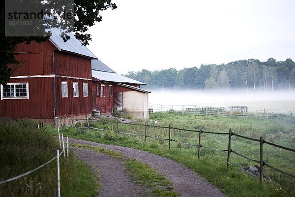 Tag Nebel Blockhaus Holzhaus