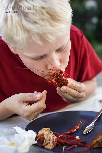 Junge - Person essen essend isst Flußkrebs