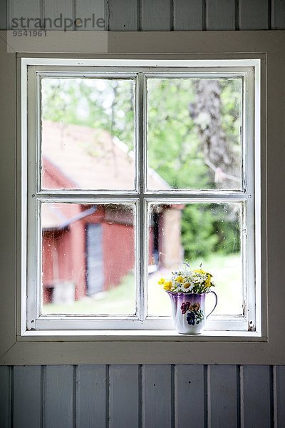 Wildblume Kanne Fensterbank