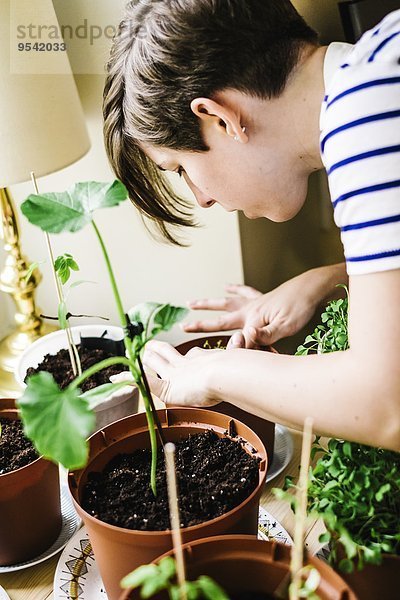junge Frau junge Frauen Pflanze binden