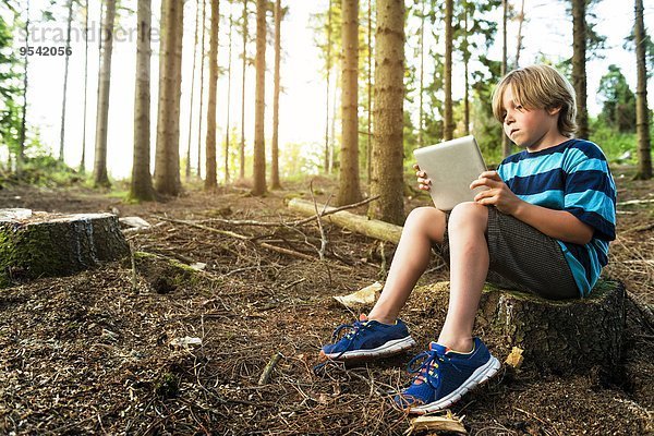 benutzen Junge - Person Wald Tablet PC