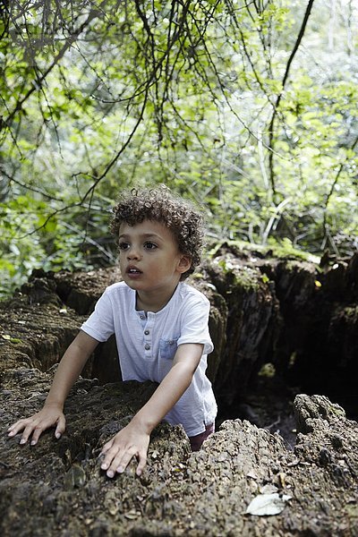 Junge - Person Wald Loch