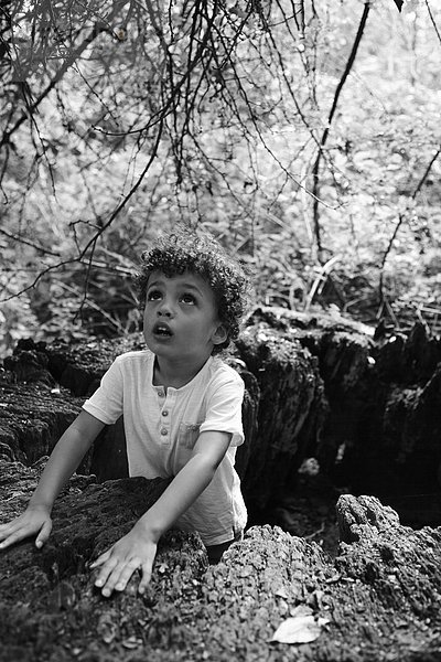 Junge - Person Wald Loch