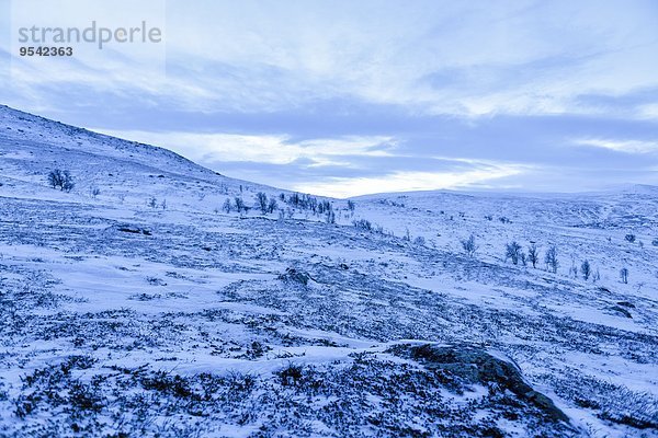 Verschneite Landschaft