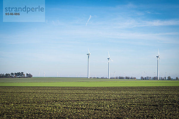 Deutschland  Sachsen-Anhalt  Mansfelder Land  Windkraftanlagen auf dem Feld