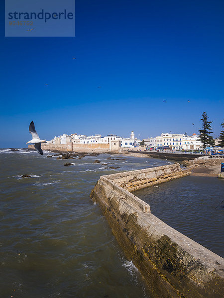 Marokko  Essaouira  Sqala de la Kasbah  Altstadtmauer