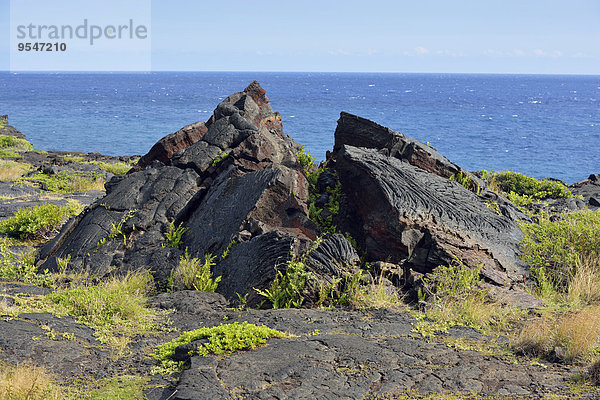 USA  Hawaii  Big Island  Vulkane Nationalpark  geplatzte Lavafelsen vor dem Meer