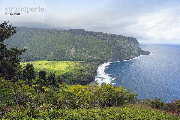 USA  Hawaii  Big Island  Blick auf Waipio Valley und Bucht