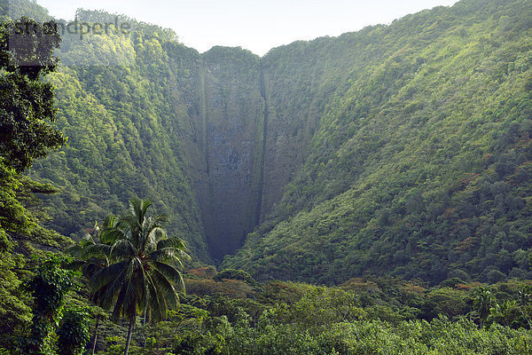USA  Hawaii  Big Island  Waipio Valley  ausgetrocknete Kakeha Fälle