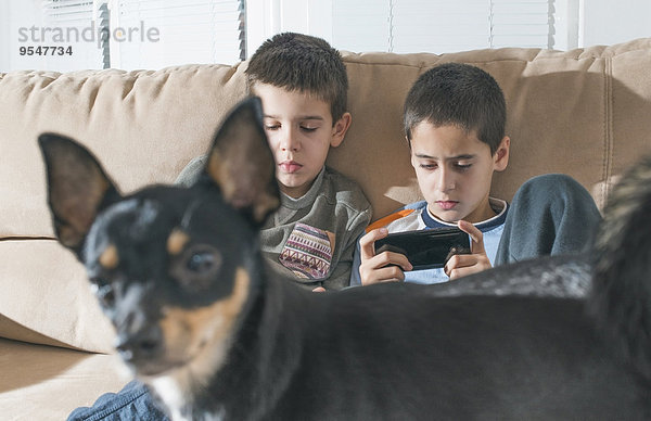 Zwei Jungen spielen mit ihren Smartphones  während der Hund im Vordergrund steht.