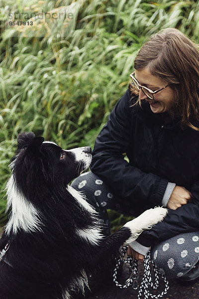 Lächelnde junge Frau kommuniziert mit ihrem Border Collie