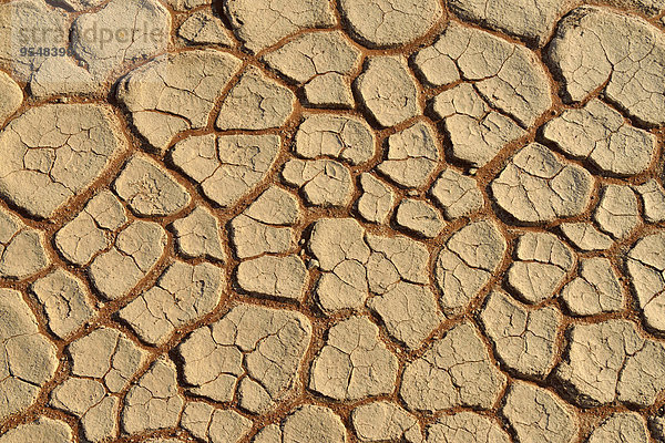 Afrika  Namibia  Sossusvlei  Dead Vlei  gebrochene Oberfläche einer Salz- und Tonpfanne