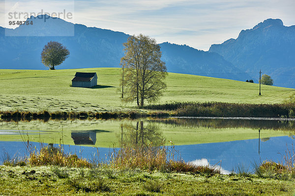 Deutschland  Bayern  Allgäu  Landschaft mit See bei Füssen