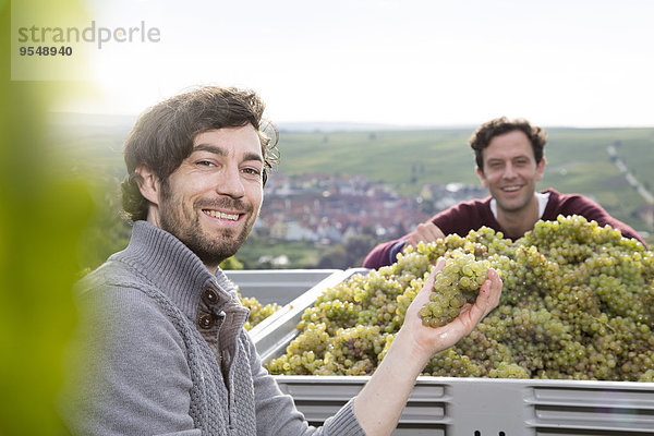 Deutschland  Bayern  Volkach  zwei lächelnde Winzer mit geernteten Trauben