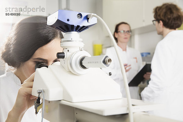 Wissenschaftler  die im Labor arbeiten  Wissenschaftlerinnen  die durchs Mikroskop schauen
