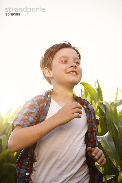 Junge läuft im Gegenlicht durch das Maisfeld