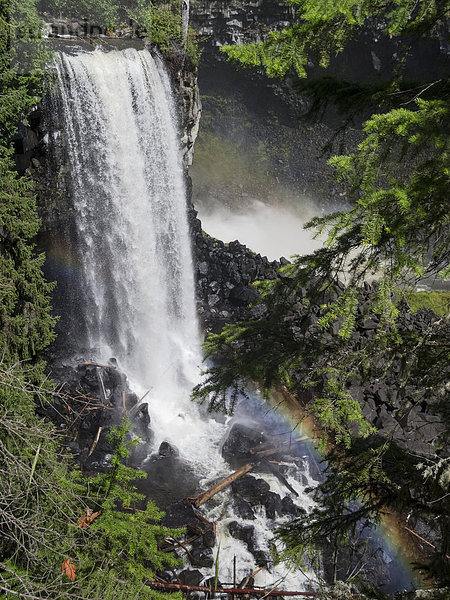 Kanada  British Columbia  Wells Gray Provincial Park  Canim Falls