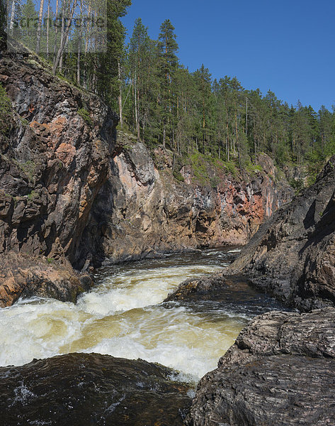 Finnland  Lappland  Kuusamo  Oulanka Nationalpark  Kiutakoengaes Stromschnellen