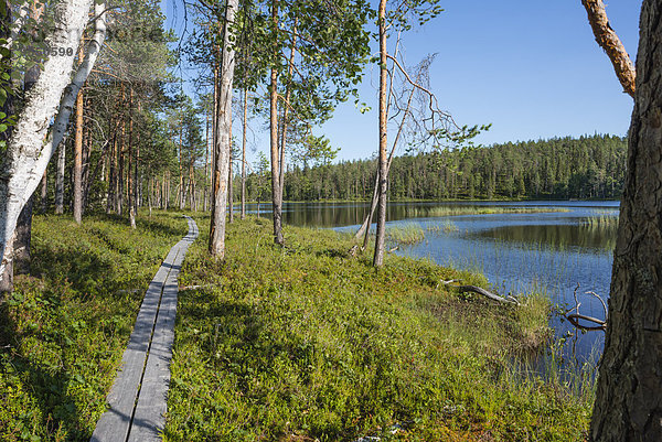 Finnland  Lappland  Kuusamo  Oulanka-Nationalpark  Pinienwald mit Strandpromenade und See