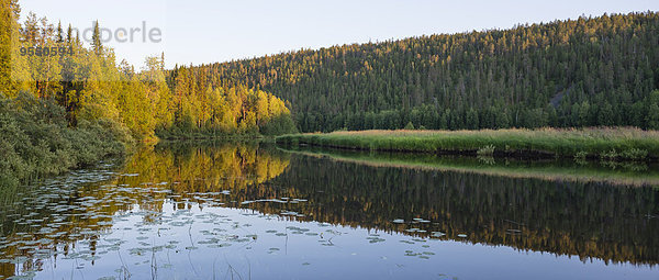 Finnland  Lappland  Nord-Ostbottnien  Kuusamo  Oulanka-Nationalpark  Oulankajoki-Fluss mit Pinienwald