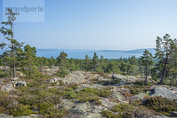 Schweden  Vaesternorrland County  Skuleskogen Nationalpark  Blick von Slattdalsberget auf die Ostsee