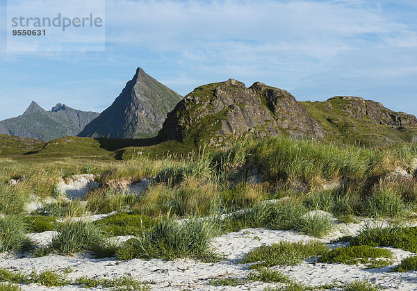 Norwegen  Nordland  Lofoten  Flakstad  Gipfel von Flakstadoya