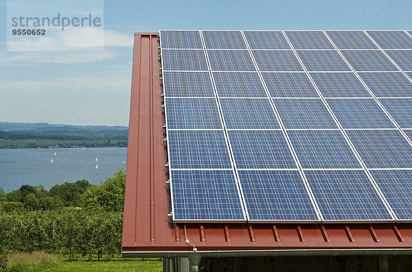 Deutschland  Konstanz  Bodensee  Solarmodul auf Scheunendach