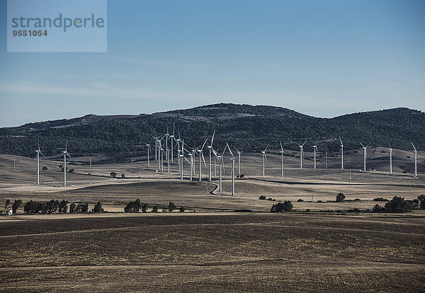 Spanien  Andalusien  Tarifa  Windräder auf dem Feld