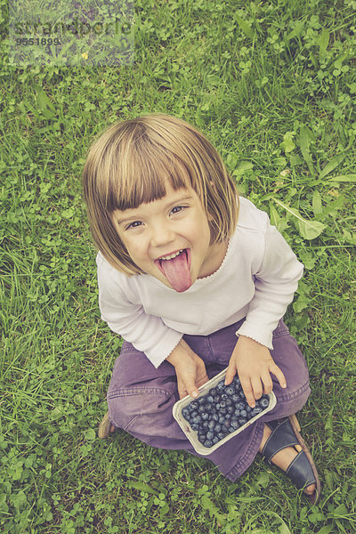 Porträt eines kleinen Mädchens mit ausgestreckter Zunge  das auf einer Medow sitzt und eine Schachtel Heidelbeeren hält.