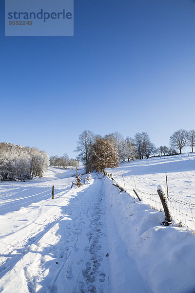Deutschland  Landkreis Kaiserslautern  Pfälzer Wald  Wanderweg im Winter