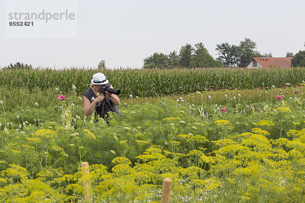Frau fotografiert Blumen auf dem Feld